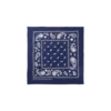 Bandane Flying B Paisley