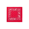 Bandane Flying B Paisley