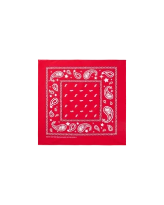 Bandane Flying B Paisley Bandane Flying B Paisley