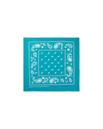 Bandane Flying B Paisley Bandane Flying B Paisley