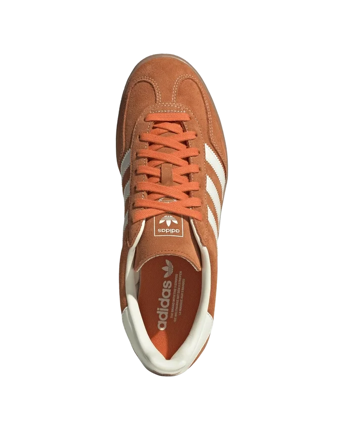 Gazelle indoor Gazelle indoor