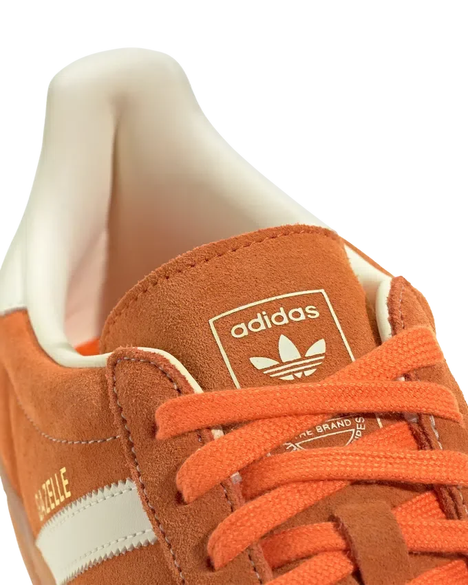 Gazelle indoor Gazelle indoor