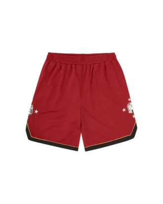 Pantaloncini da basket in rete Astro Star