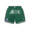 Pantaloncini da basket Team IC con Running Dog che corre Pantaloncini da basket Team IC con Running Dog che corre