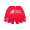 Pantaloncini da basket Team IC con Running Dog che corre Pantaloncini da basket Team IC con Running Dog che corre