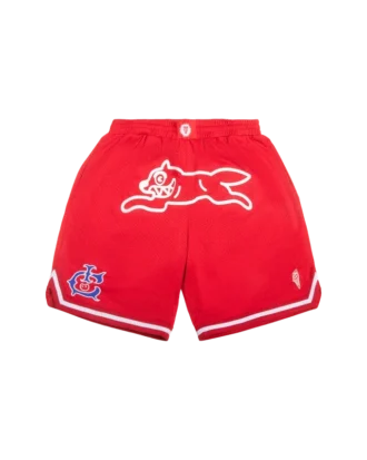 Pantaloncini da basket Team IC con Running Dog che corre