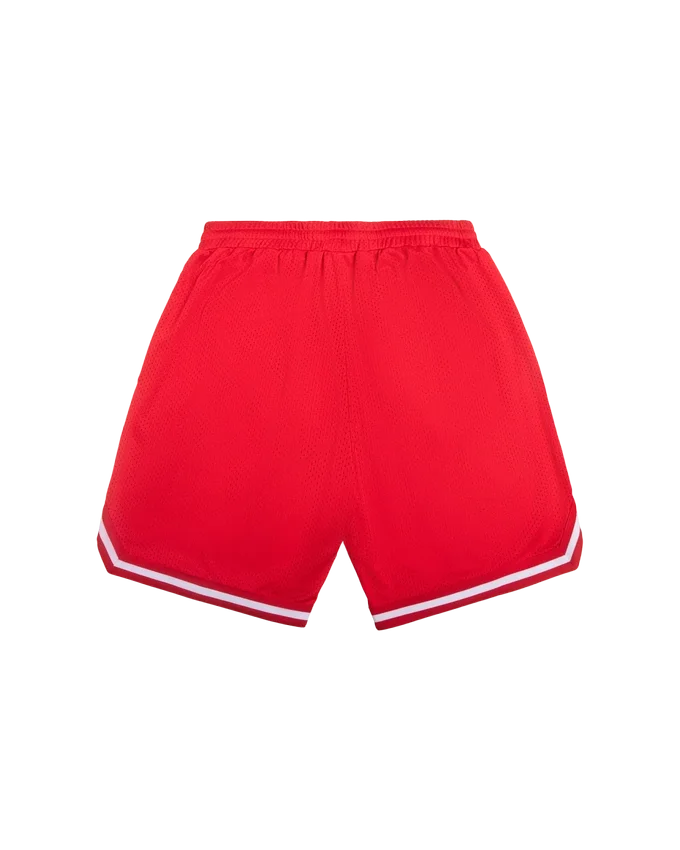 Pantaloncini da basket Team IC con Running Dog che corre Pantaloncini da basket Team IC con Running Dog che corre