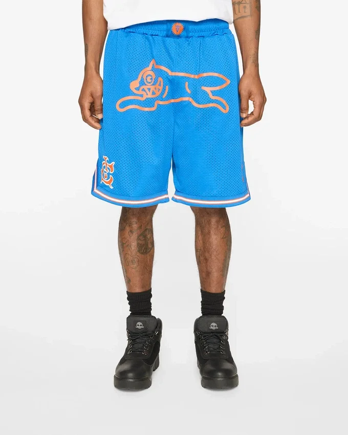 Pantaloncini da basket Team IC con Running Dog che corre Pantaloncini da basket Team IC con Running Dog che corre