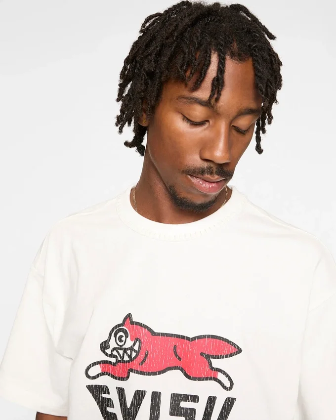 T-shirt con logo e stampa evisu T-shirt con logo e stampa evisu